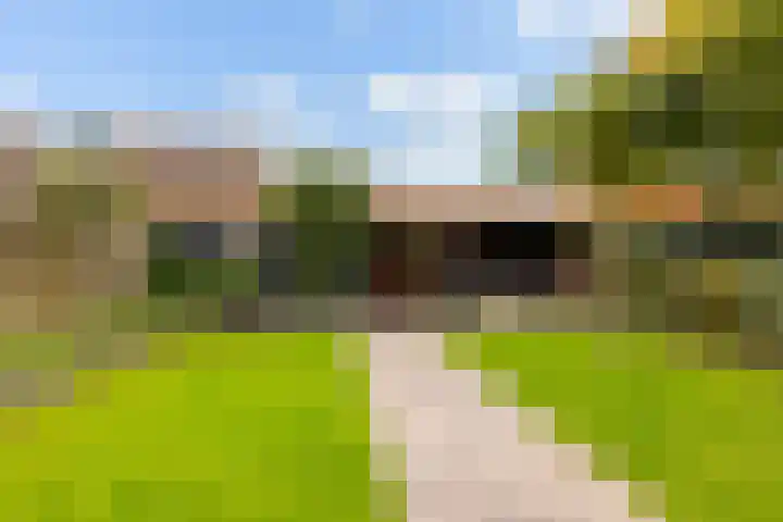 Schepersbos 1 Wezep thumbnail 34