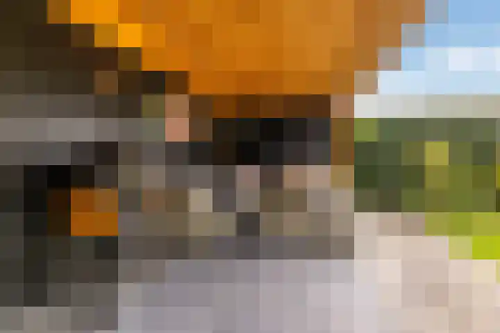 Schepersbos 1 Wezep thumbnail 35