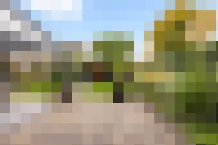 Schepersbos 1 Wezep thumbnail 36