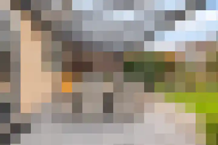 Schepersbos 1 Wezep thumbnail 37