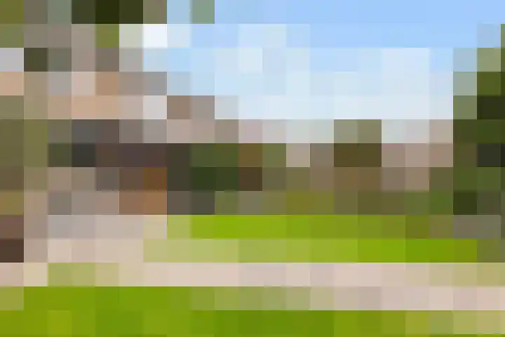 Schepersbos 1 Wezep thumbnail 38