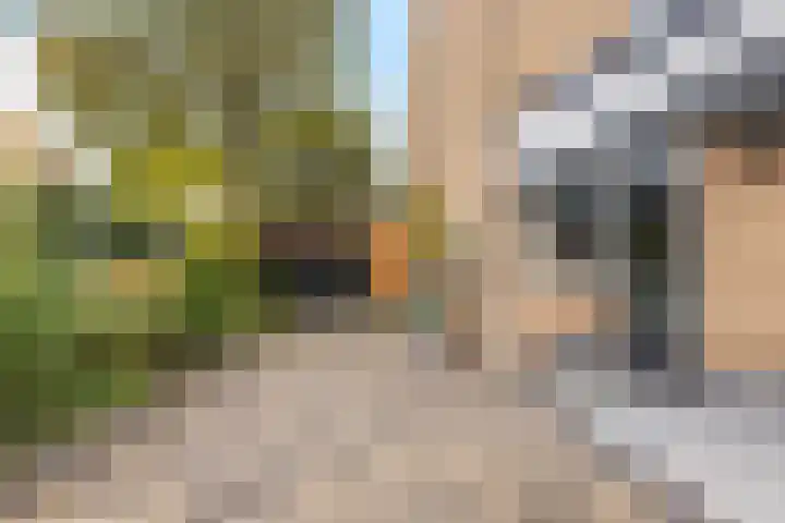 Schepersbos 1 Wezep thumbnail 39