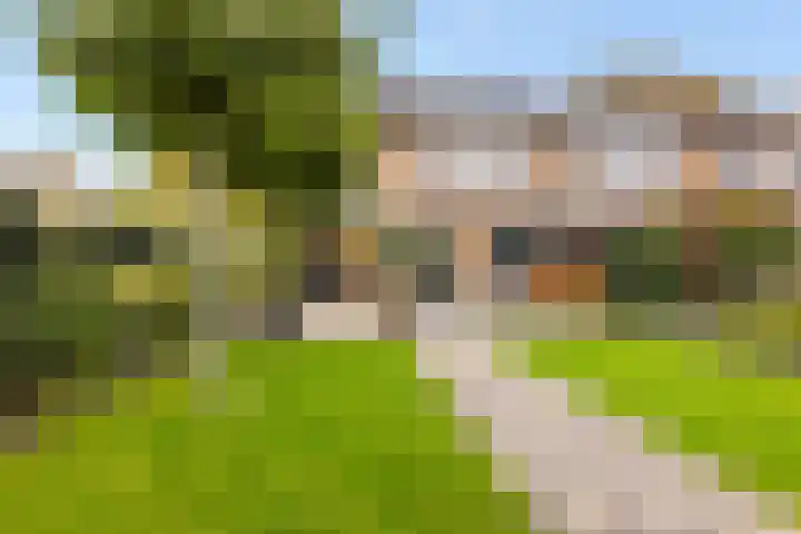 Schepersbos 1 Wezep thumbnail 40