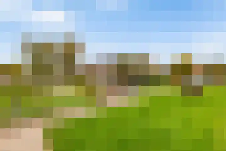 Schepersbos 1 Wezep thumbnail 41