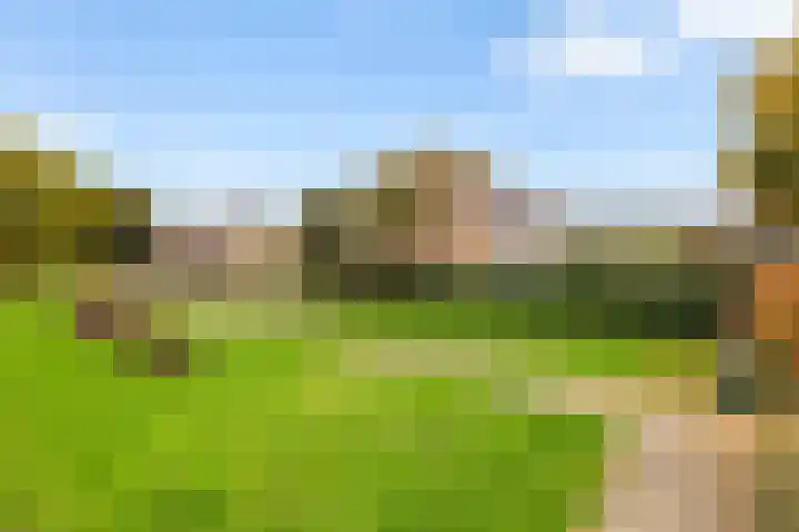 Schepersbos 1 Wezep thumbnail 42