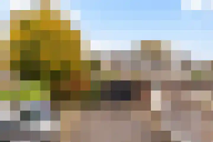 Schepersbos 1 Wezep thumbnail 43