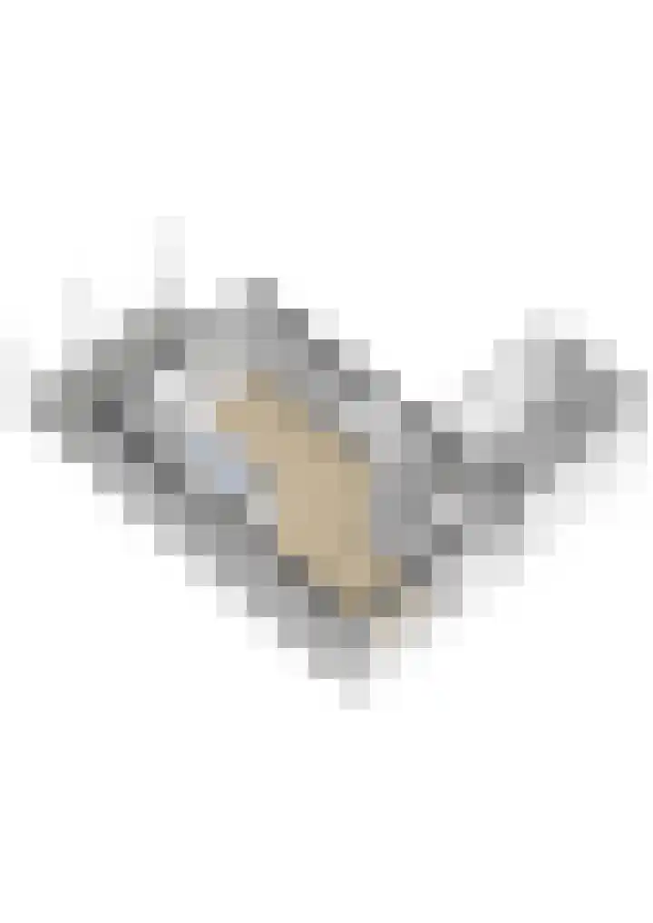 Schepersbos 1 Wezep thumbnail 48