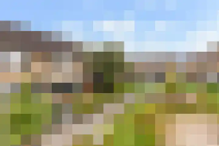 Schepersbos 1 Wezep thumbnail 5