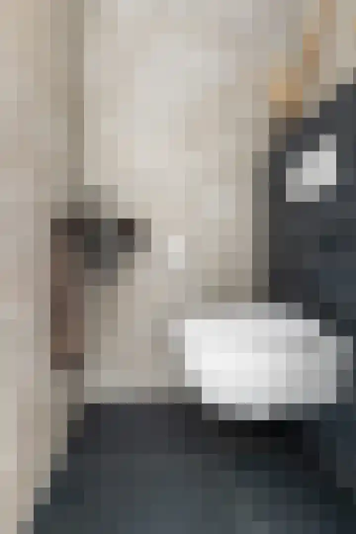 Schepersbos 1 Wezep thumbnail 8