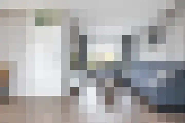 Schepersbos 1 Wezep thumbnail 9