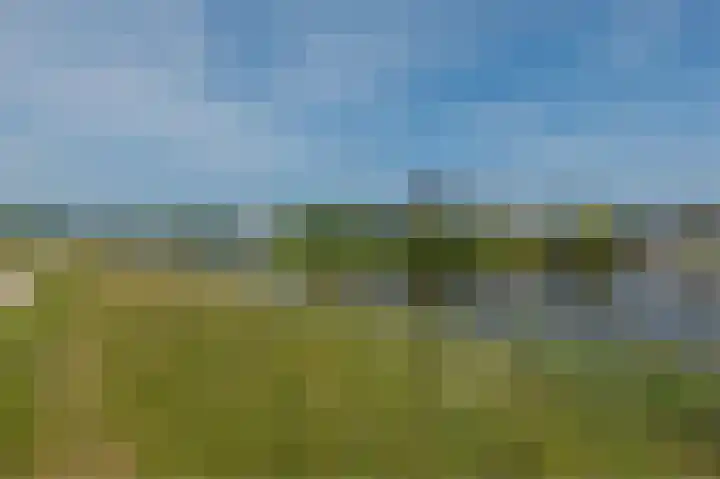Scheperseiland 34 Eelderwolde thumbnail 47