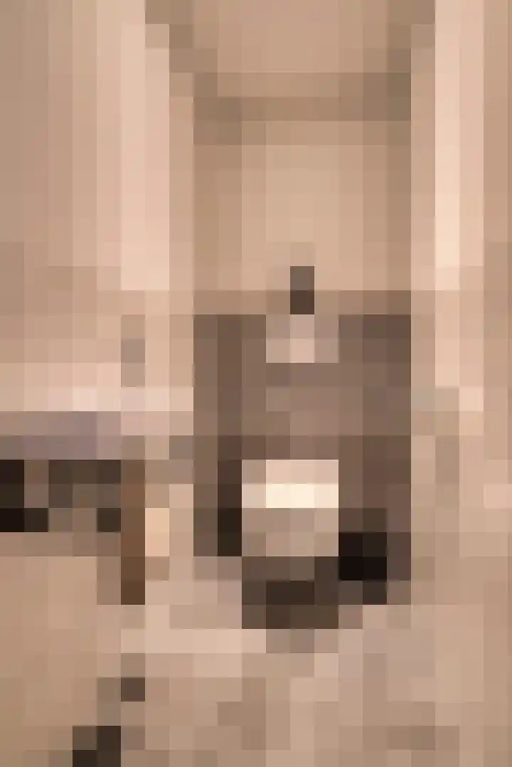 Schepersgats 17 Stein