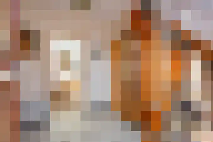Schepersgats 17 Stein thumbnail 10