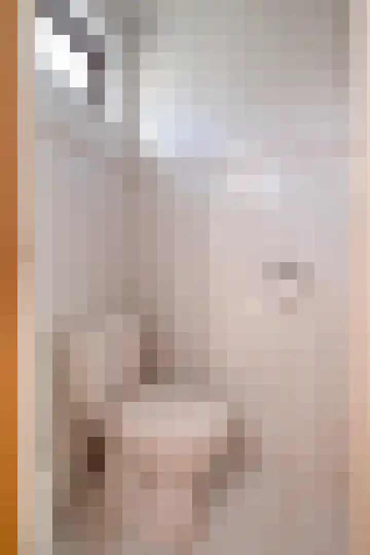 Schepersgats 17 Stein thumbnail 11