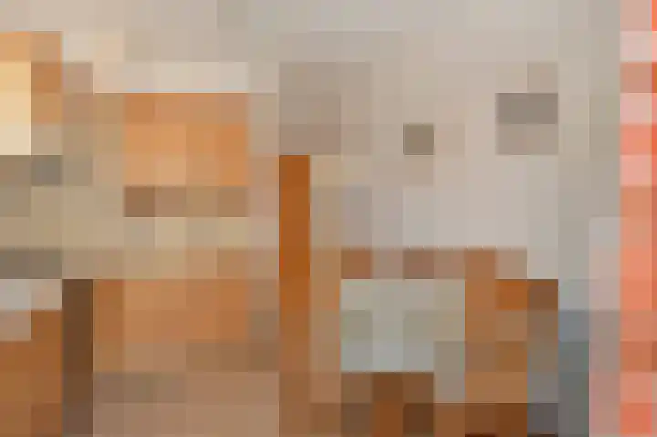 Schepersgats 17 Stein thumbnail 16