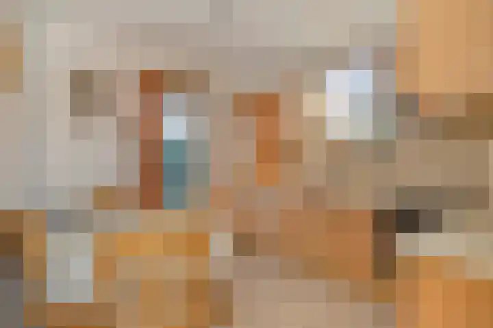 Schepersgats 17 Stein thumbnail 17