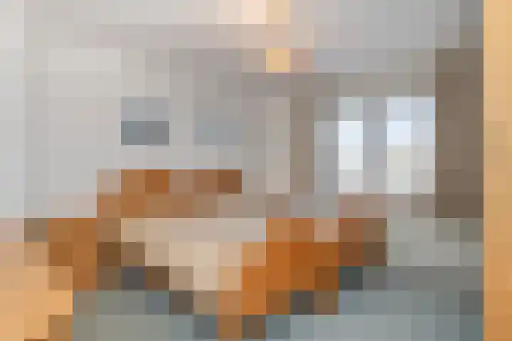 Schepersgats 17 Stein thumbnail 19