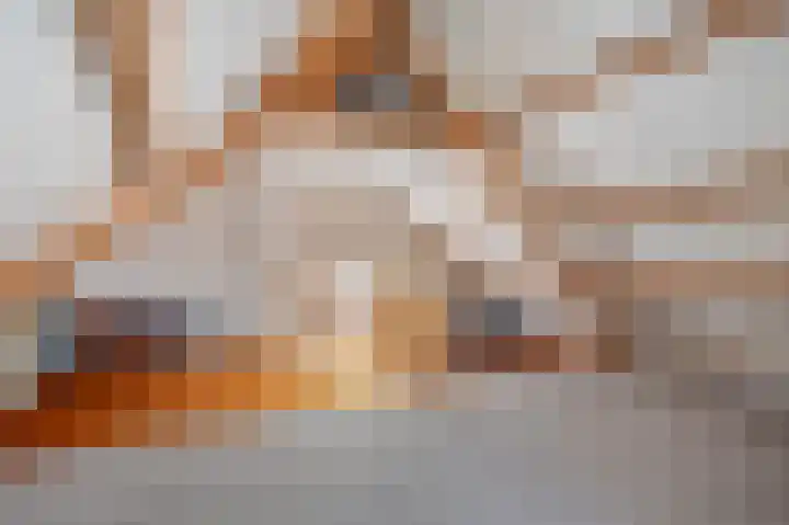 Schepersgats 17 Stein thumbnail 29