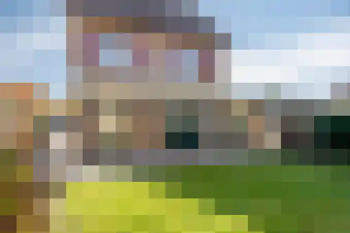 Schepersgats 17 Stein thumbnail 32