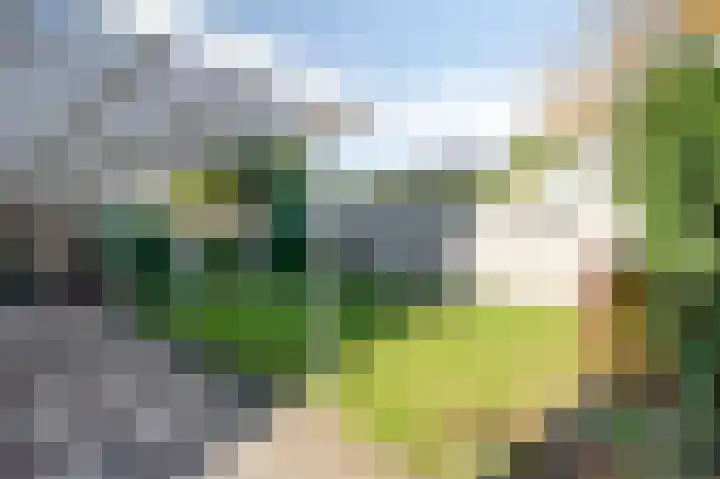 Schepersgats 17 Stein thumbnail 34