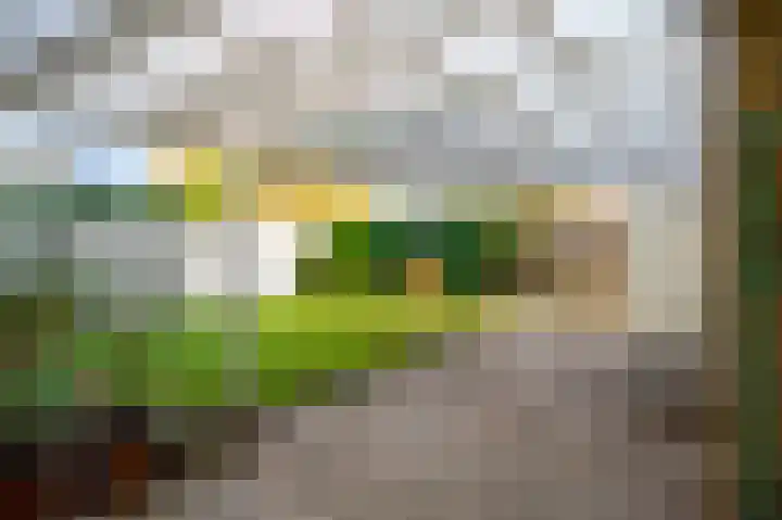 Schepersgats 17 Stein thumbnail 35