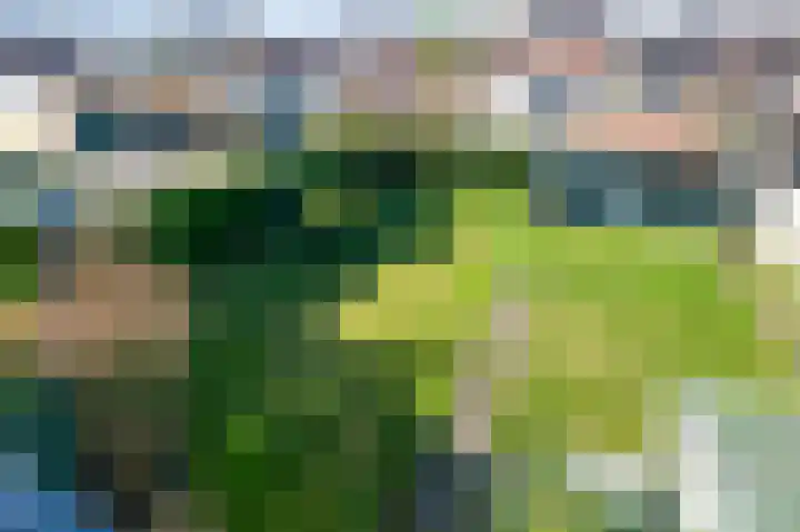Schepersgats 17 Stein thumbnail 39