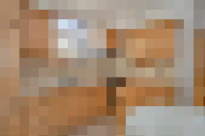Schepersgats 17 Stein thumbnail 4
