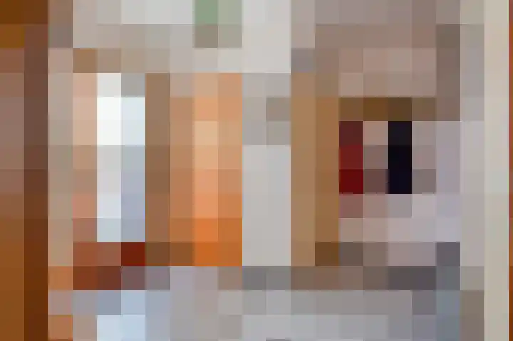 Schepersgats 17 Stein thumbnail 9