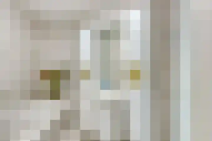 Schepershof 10 Nieuw-Dordrecht thumbnail 10