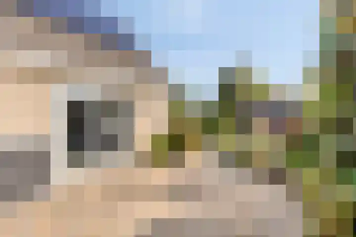 Schepershof 10 Nieuw-Dordrecht thumbnail 20