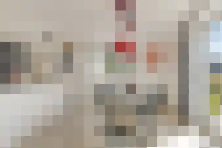 Schepershof 10 Nieuw-Dordrecht thumbnail 6