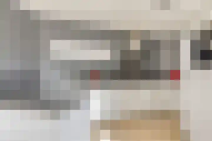 Schepershof 10 Nieuw-Dordrecht thumbnail 7