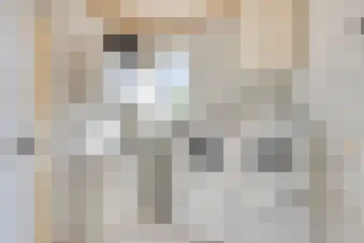 Schepershof 10 Nieuw-Dordrecht thumbnail 8
