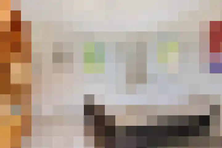 Schepershof 10 Nieuw-Dordrecht thumbnail 9