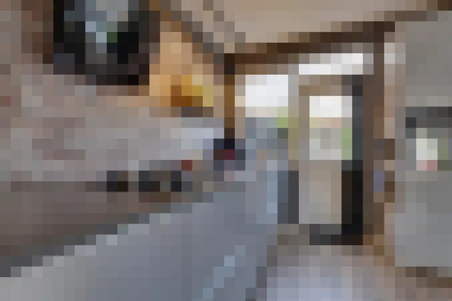 Schepershof 27 Zevenaar thumbnail 11