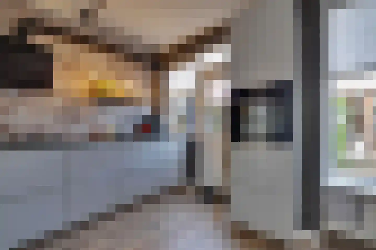 Schepershof 27 Zevenaar thumbnail 12