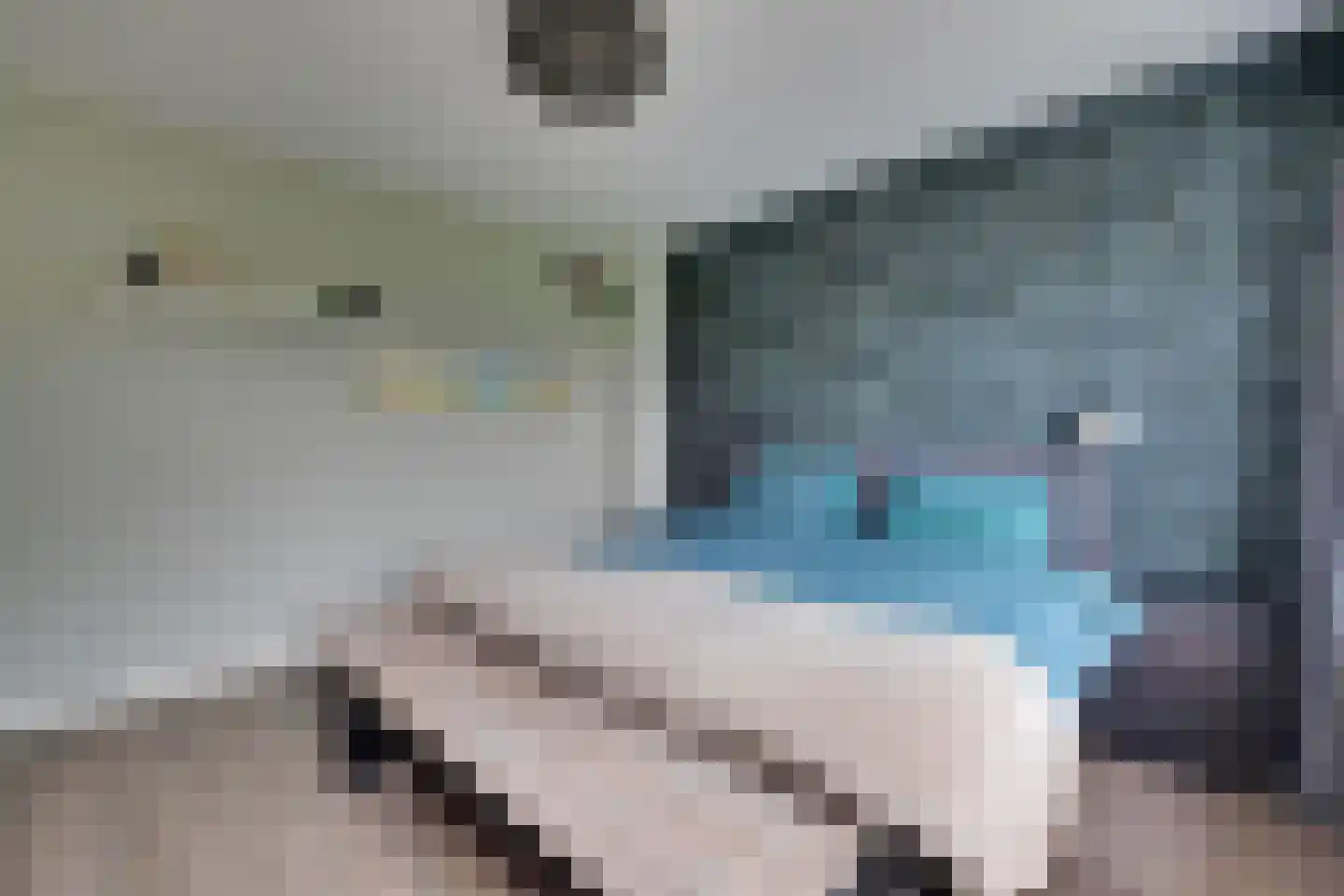 Schepershof 27 Zevenaar thumbnail 17