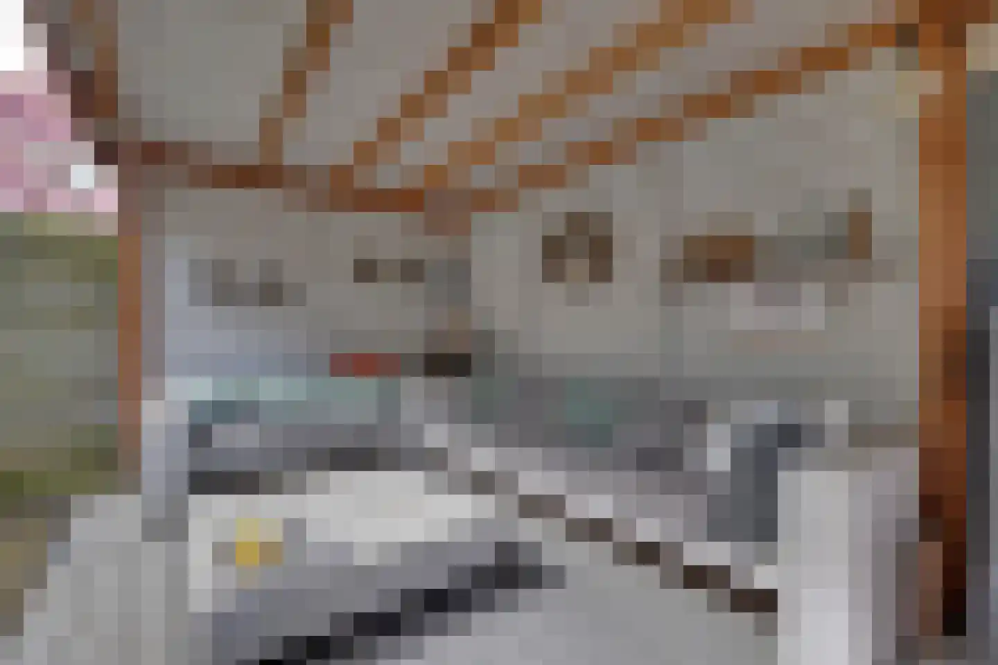 Schepershof 27 Zevenaar thumbnail 32