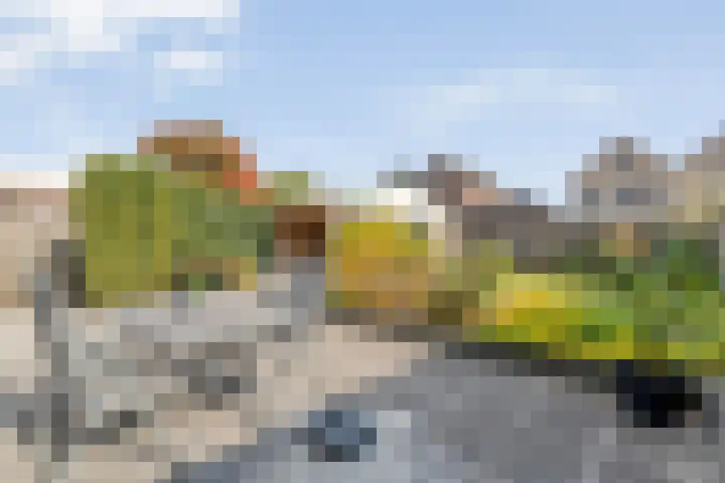 Schepershof 43 Nieuw-Dordrecht thumbnail 45