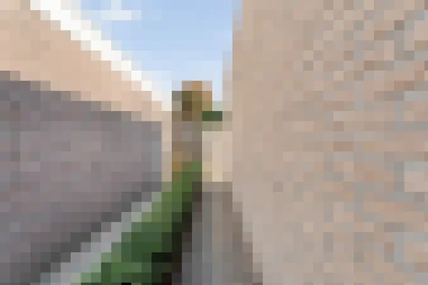 Schepershof 43 Nieuw-Dordrecht thumbnail 7