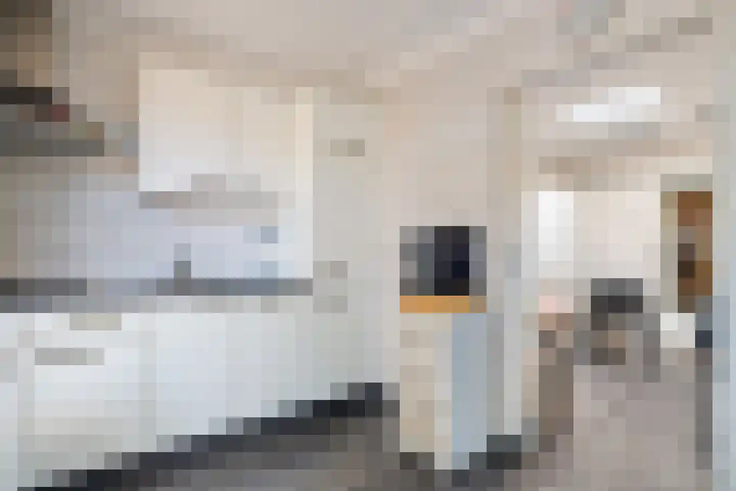 Schepershof 48 Nieuw-Dordrecht thumbnail 23
