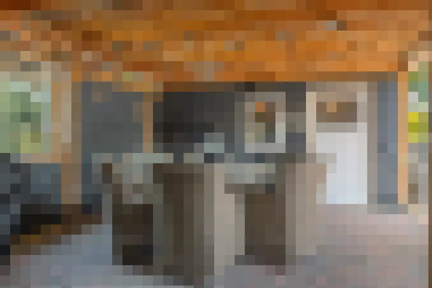 Schepershof 48 Nieuw-Dordrecht thumbnail 43