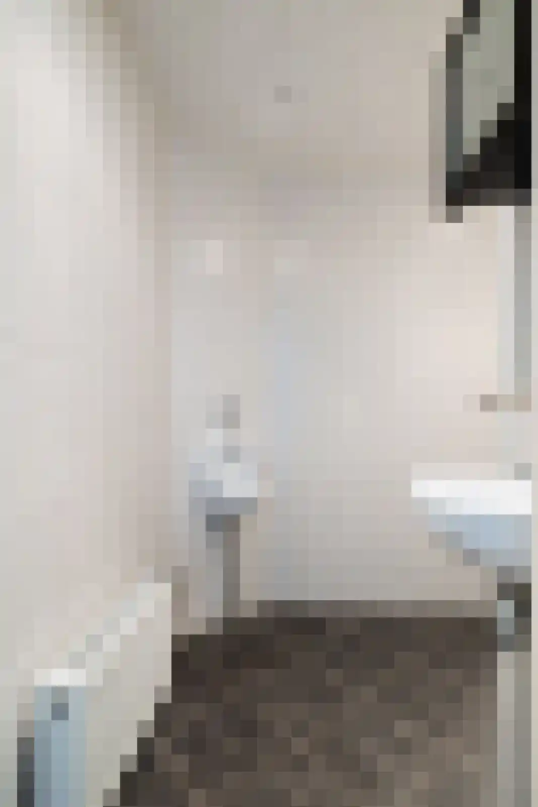 Schepershof 48 Nieuw-Dordrecht thumbnail 9