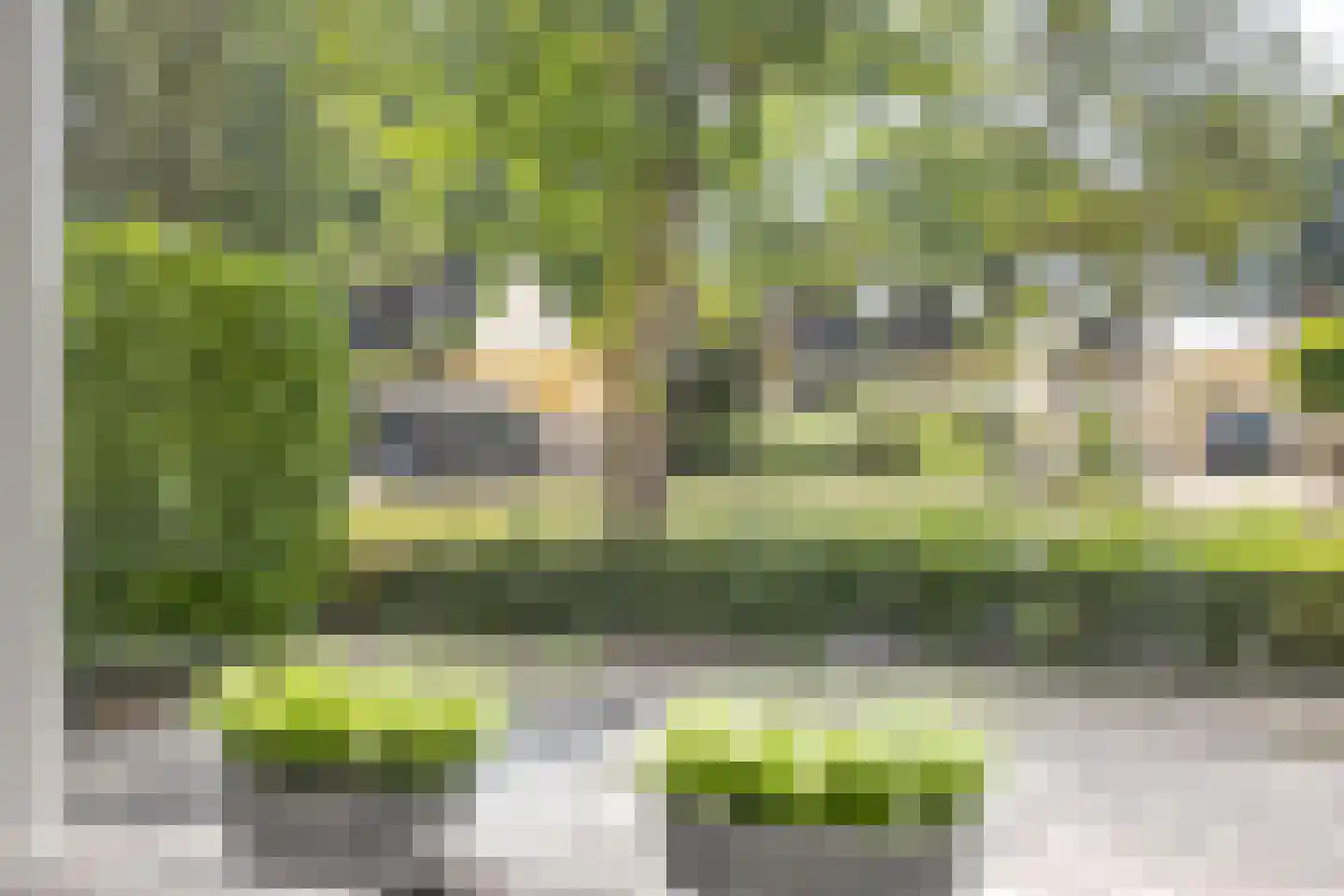 Schepershof 5 Zevenaar thumbnail 15