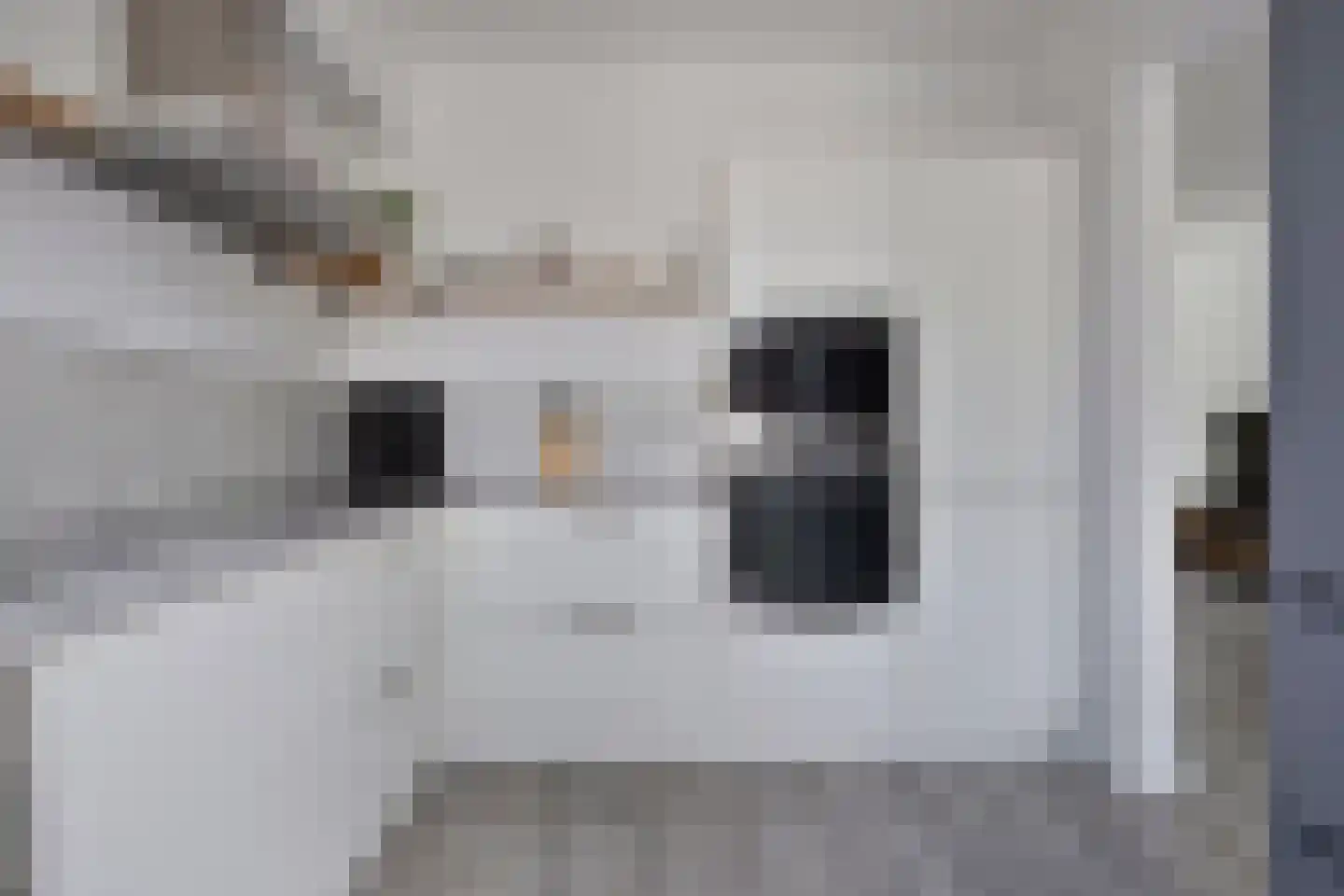 Schepershof 5 Zevenaar thumbnail 24