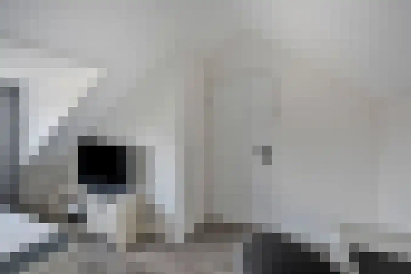 Schepershof 5 Zevenaar thumbnail 43