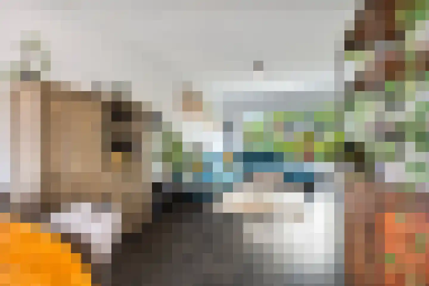 Schepershof 7 Zevenaar thumbnail 8