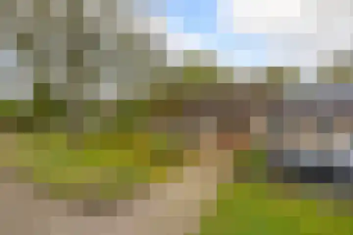 Scheperskamp 1 Vledder