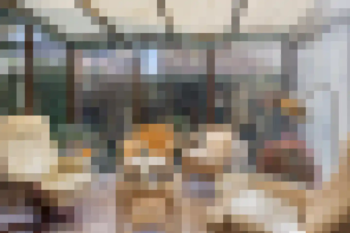 Scheperskamp 25 Vledder thumbnail 10