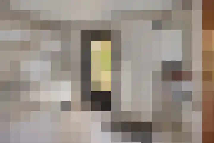 Scheperskamp 25 Vledder thumbnail 13